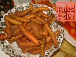 maocheng